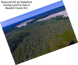 Reduced! 547 Ac Waterfront Hunting Land For Sale In Beaufort County Nc!