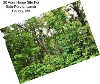 20 Acre Home Site For Sale Purvis, Lamar County, Ms