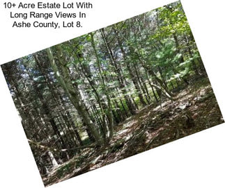 10+ Acre Estate Lot With Long Range Views In Ashe County, Lot 8.