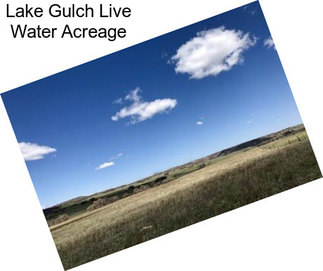 Lake Gulch Live Water Acreage
