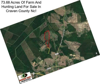 73.68 Acres Of Farm And Hunting Land For Sale In Craven County Nc!