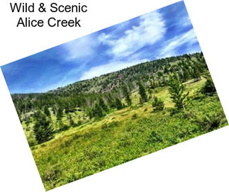 Wild & Scenic Alice Creek