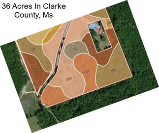 36 Acres In Clarke County, Ms