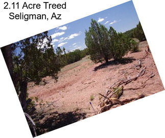 2.11 Acre Treed Seligman, Az