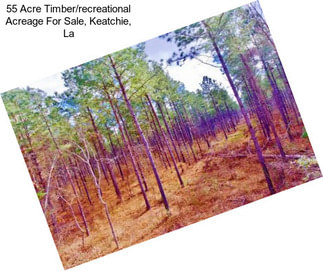 55 Acre Timber/recreational Acreage For Sale, Keatchie, La