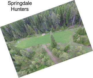 Springdale Hunters