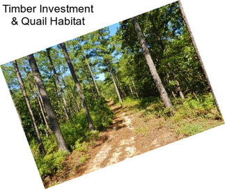 Timber Investment & Quail Habitat