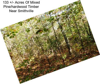 133 +/- Acres Of Mixed Pine/hardwood Timber Near Smithville