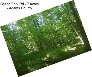 Beech Fork Rd - 7 Acres - Adams County