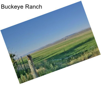 Buckeye Ranch