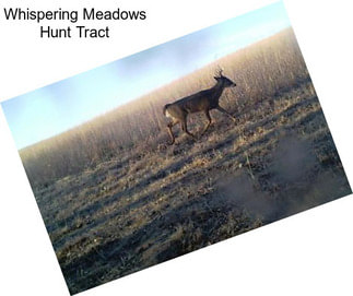 Whispering Meadows Hunt Tract