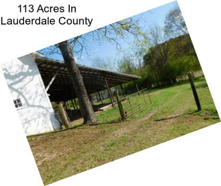 113 Acres In Lauderdale County