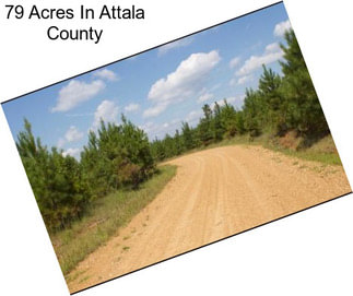 79 Acres In Attala County