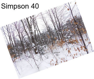 Simpson 40