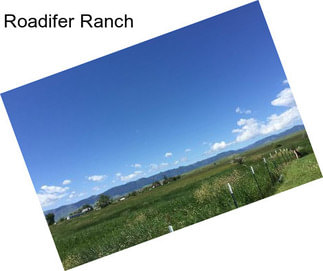 Roadifer Ranch
