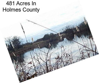 481 Acres In Holmes County