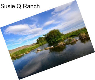 Susie Q Ranch