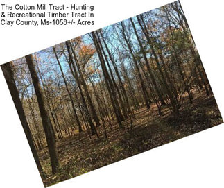 The Cotton Mill Tract - Hunting & Recreational Timber Tract In Clay County, Ms-1058+/- Acres