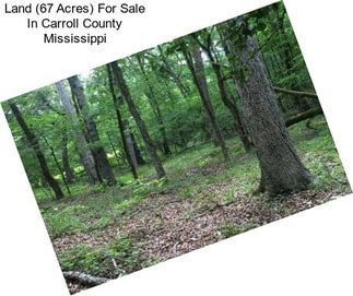 Land (67 Acres) For Sale In Carroll County Mississippi