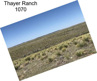 Thayer Ranch 1070