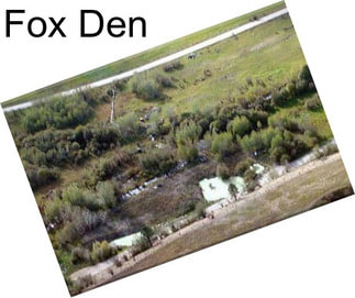 Fox Den