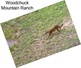 Woodchuck Mountain Ranch