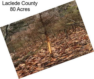 Laclede County 80 Acres