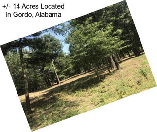 +/- 14 Acres Located In Gordo, Alabama