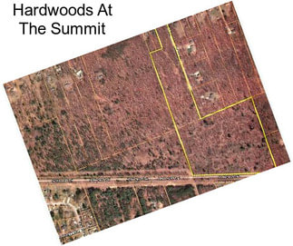 Hardwoods At The Summit