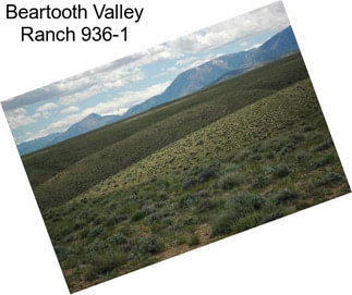 Beartooth Valley Ranch 936-1