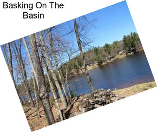 Basking On The Basin