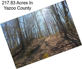217.83 Acres In Yazoo County