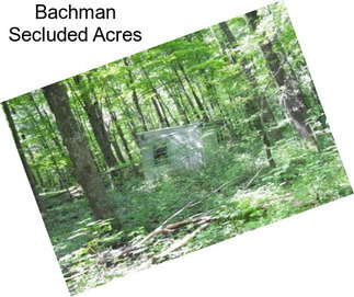 Bachman Secluded Acres