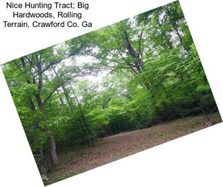 Nice Hunting Tract; Big Hardwoods, Rolling Terrain, Crawford Co. Ga