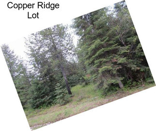 Copper Ridge Lot