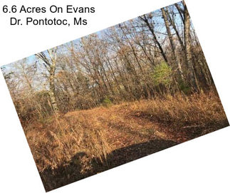 6.6 Acres On Evans Dr. Pontotoc, Ms