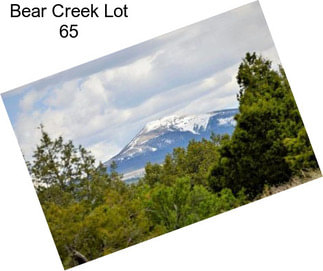 Bear Creek Lot 65