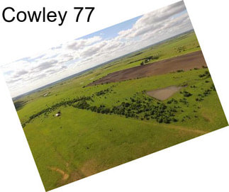 Cowley 77