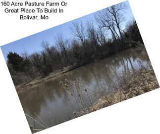 160 Acre Pasture Farm Or Great Place To Build In Bolivar, Mo