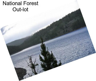 National Forest Out-lot