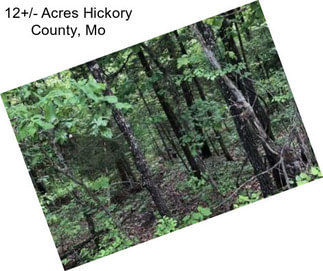 12+/- Acres Hickory County, Mo