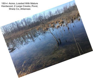 180+/- Acres, Loaded With Mature Hardwood, 2 Large Creeks, Pond, Sharp Co, Arkansas