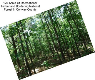 120 Acres Of Recreational Timberland Bordering National Forest In Conway County