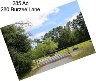 285 Ac 280 Burzee Lane