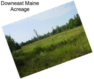 Downeast Maine Acreage