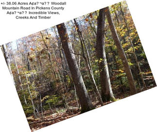 +/- 38.06 Acres A¢a¬a Woodall Mountain Road In Pickens County A¢a¬a Incredible Views, Creeks And Timber