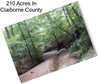 210 Acres In Claiborne County