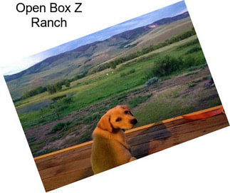 Open Box Z Ranch