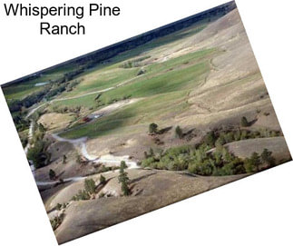 Whispering Pine Ranch