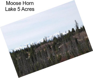 Moose Horn Lake 5 Acres